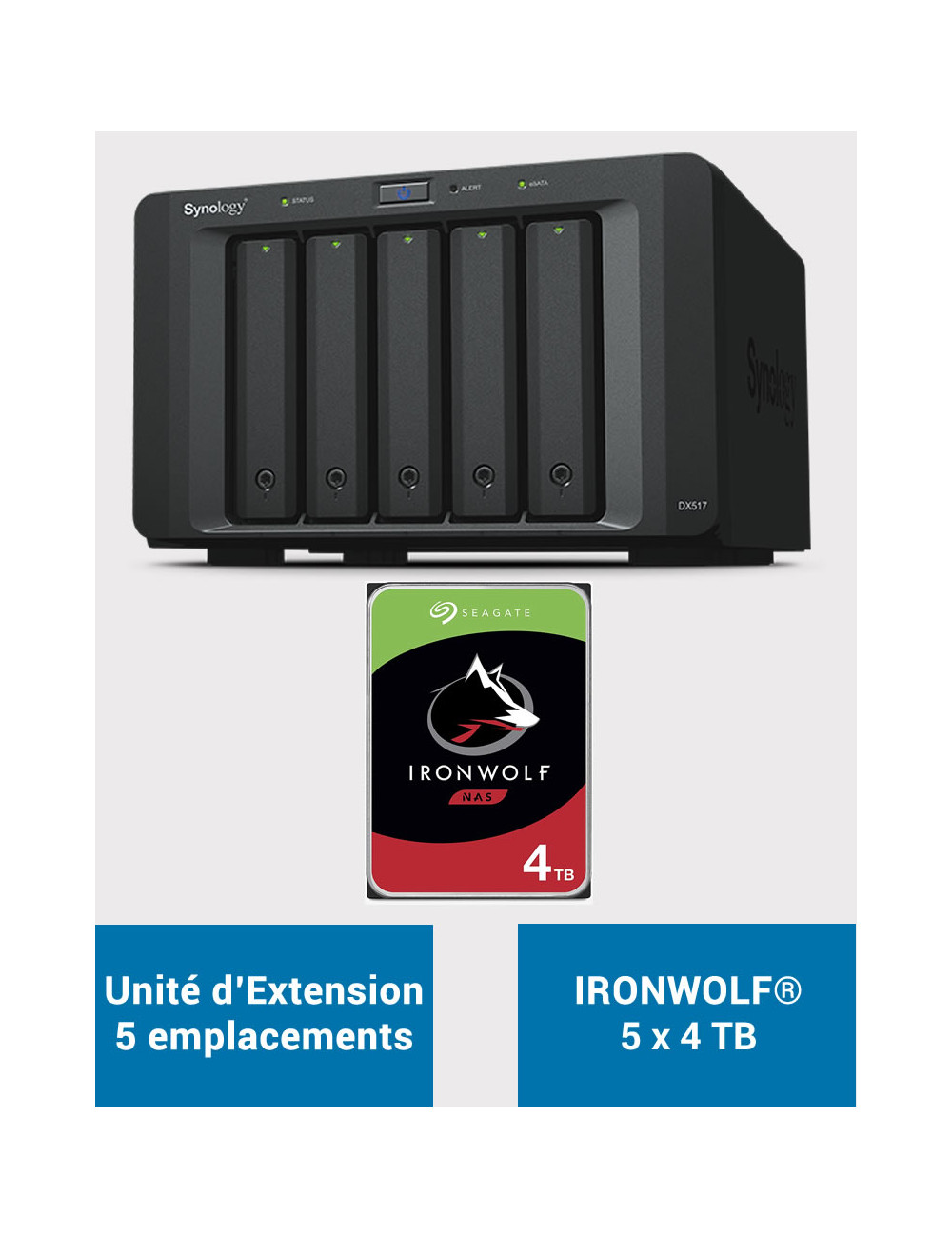 Synology DX517 Unité d'extension IRONWOLF 20To (5x4To)