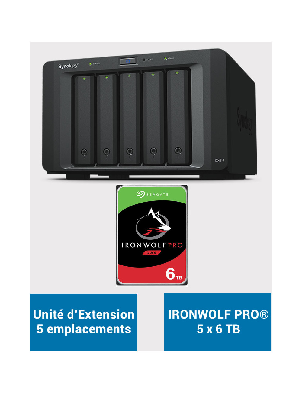 Synology DX517 Unité d'extension IRONWOLF PRO 30To (5x6To)