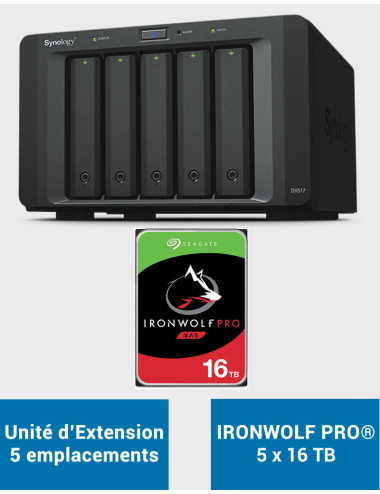 Synology DX517 Unité d'extension IRONWOLF PRO 80To (5x16To)