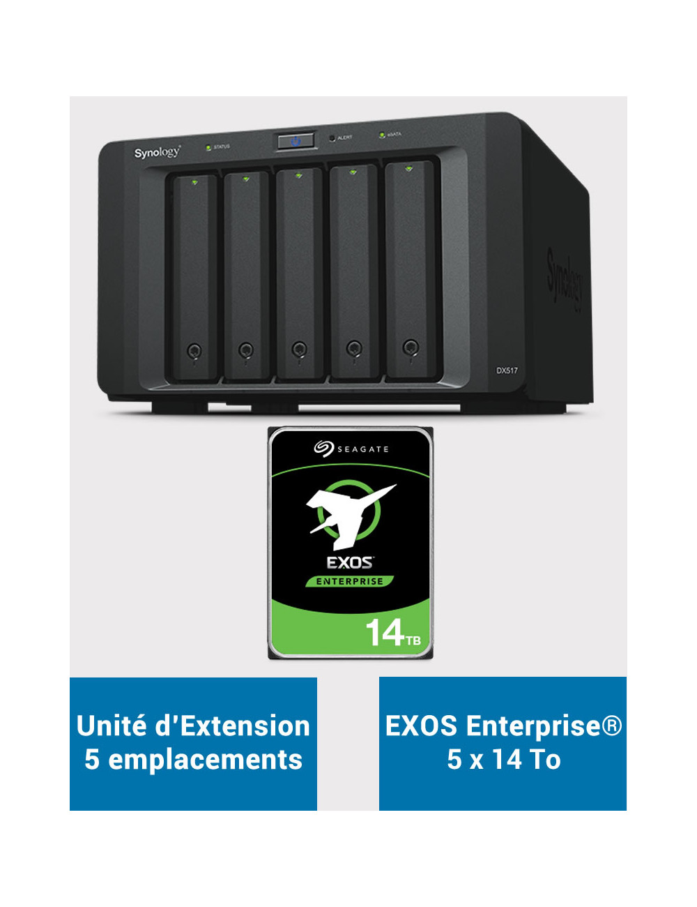 Synology DX517 Unité d'extension EXOS Enterprise 70To (5x14To)