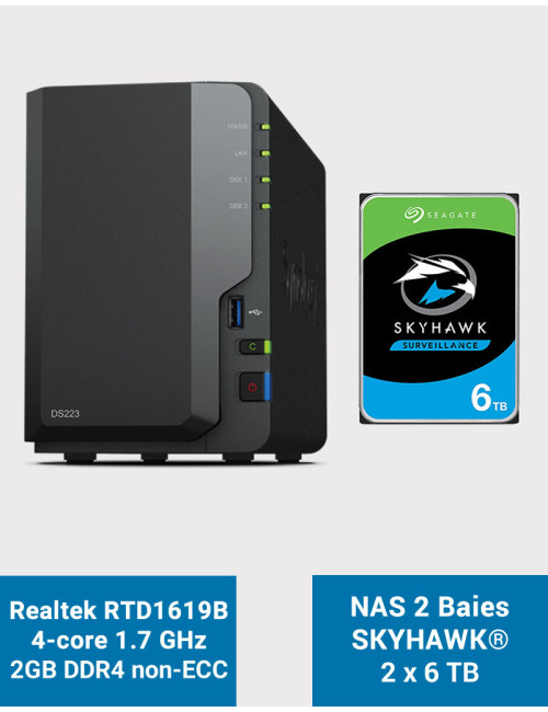 Synology DS223 Serveur NAS SkyHawk 12To (2x6To)