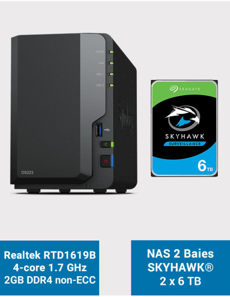 Synology DS223 Servidor NAS SkyHawk 12TB (2x6TB)