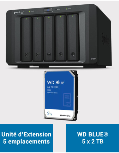 Synology DX517 Unité d'extension WD BLUE 10To (5x2To)