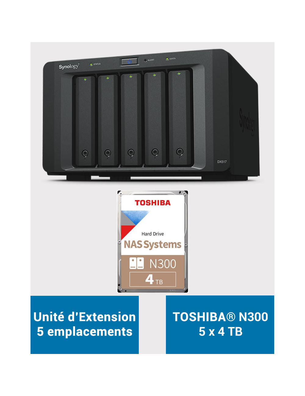 Synology DX517 Unité d'extension Toshiba N300 20To (5x4To)