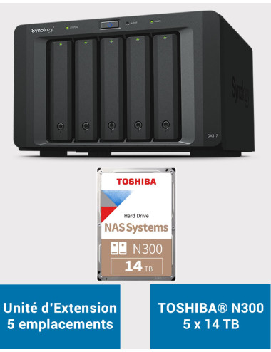 Synology DX517 Expansion Unit Toshiba N300 70TB (5x14TB)