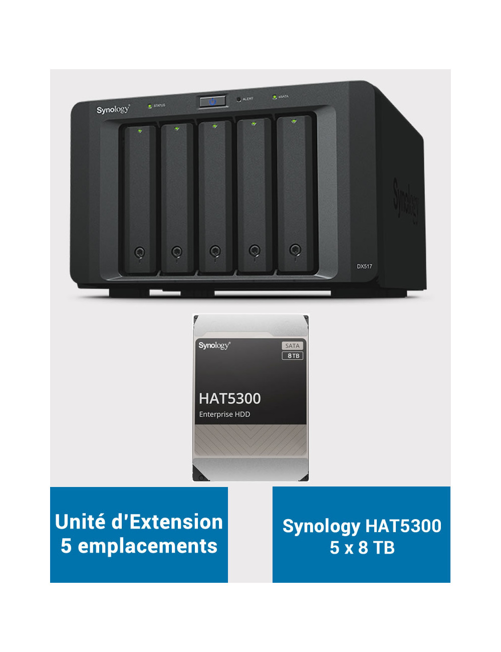 Synology DX517 Expansion Unit HAT5300 40TB (5x8TB)