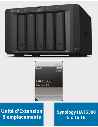 Synology DX517 Unité d'extension HAT5300 80To (5x16To)