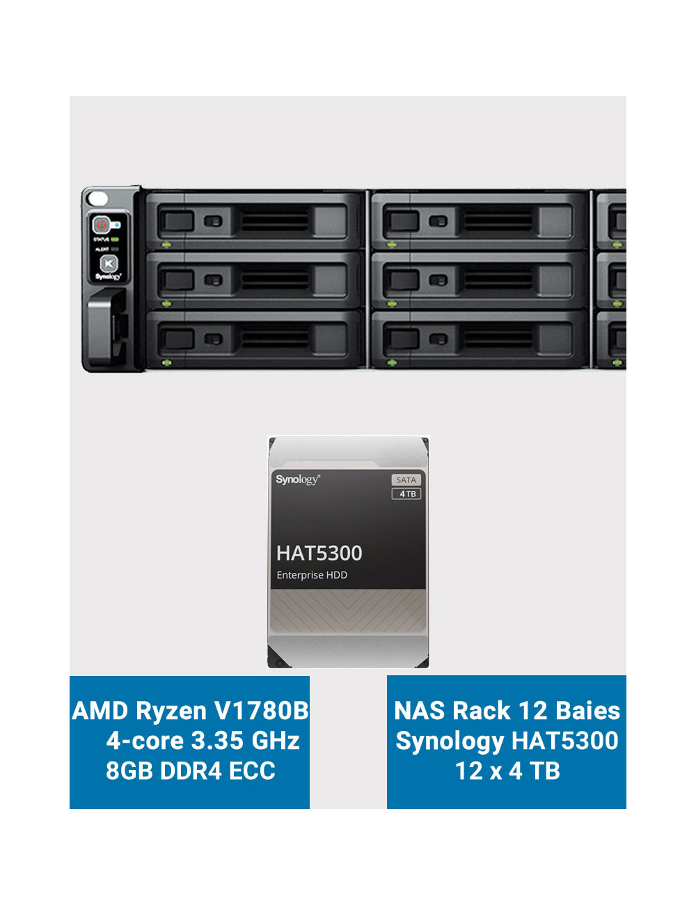 Synology RS2423+ NAS Server Rack 2U 12-Bay HAT5300 48TB (12x4TB)