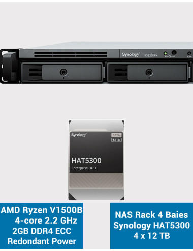 Synology RS822RP+ 2GB NAS Server Rack 1U HAT5300 48TB (4x12TB)