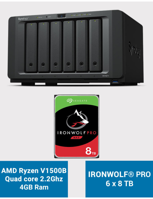 Synology DS1621+ Serveur NAS IronWolf PRO 48To (6x8To)