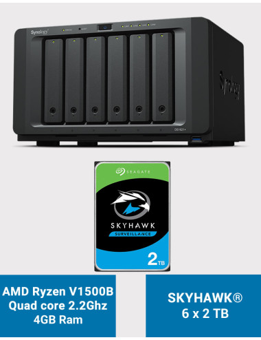 Synology DS1621+ Serveur NAS SkyHawk 12To (6x2To)