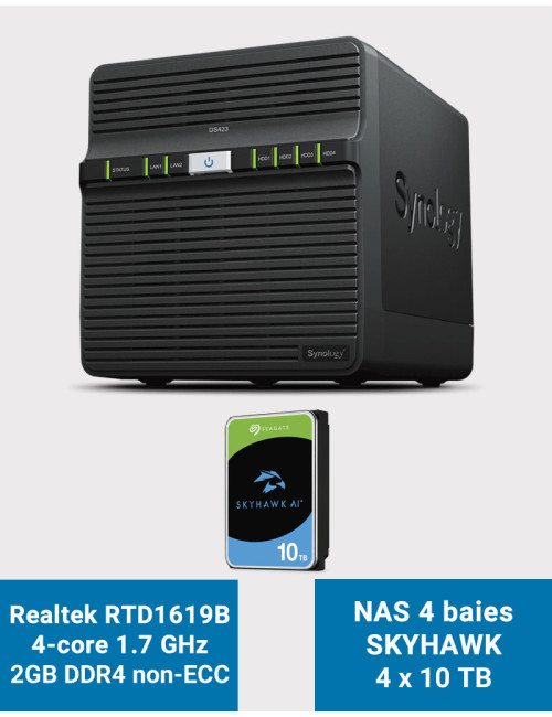 Synology DS423 2GB Serveur NAS SKYHAWK 40To (4x10To)