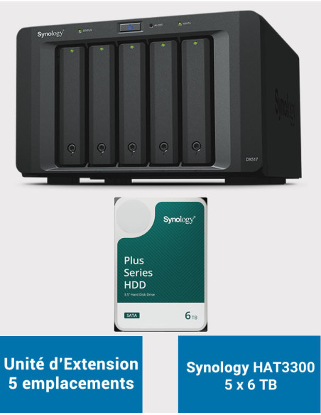 Synology DX517 Unité d'extension HAT3300 30To (5x6To)
