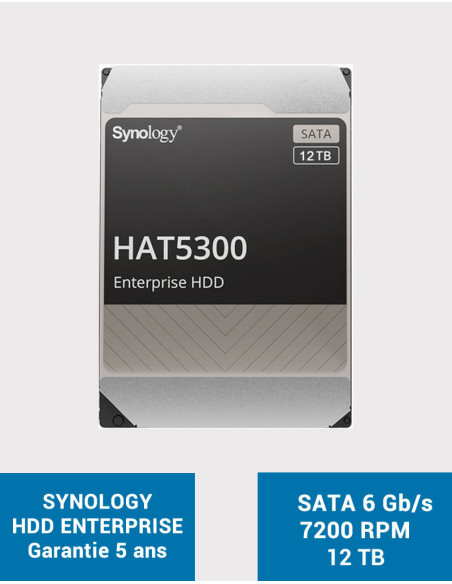 SYNOLOGY HAT5300 12TB HDD Disk