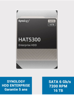 SYNOLOGY Disque HDD HAT5300 16To