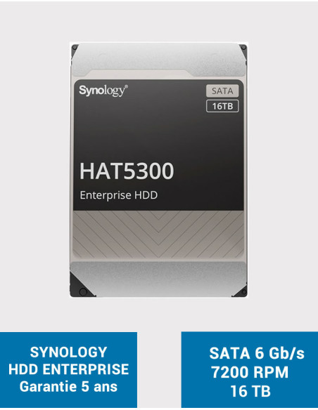 SYNOLOGY HAT5300 16TB HDD Disk