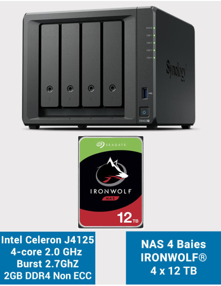 Synology DS423+ 2GB NAS Server IRONWOLF 48TB (4x12TB)