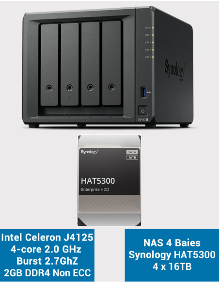 Synology DS423+ 2Go Serveur NAS HAT5300 64To (4x16To)