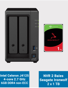Synology DVA1622 Network Video Recorder Ironwolf 2TB (2x1TB)