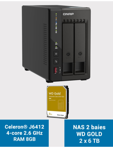 QNAP TS-253E 8GB Serveur NAS 2 baies WD GOLD 12To (2x6To)